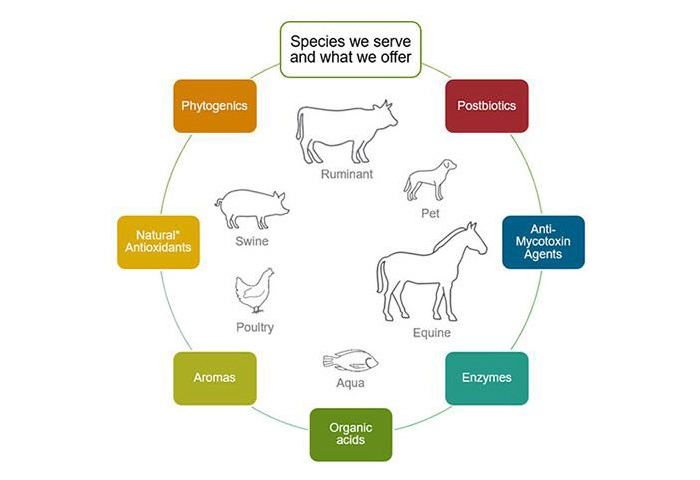 Blending and Formulation.jpg